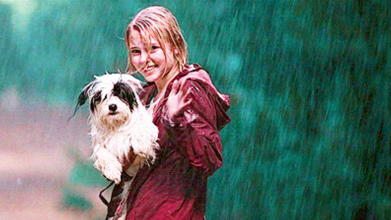 кадр из фильма Мост в Терабитию