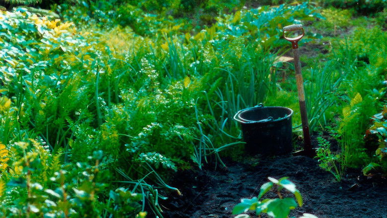 кадр из фильма Ljusår