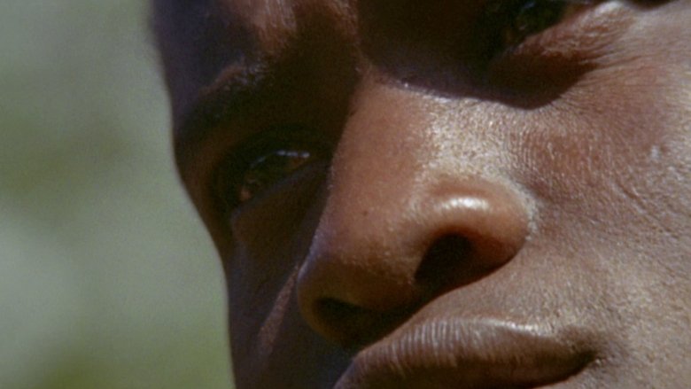 кадр из фильма Прощай, Африка