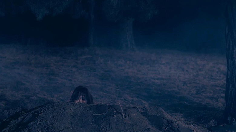 кадр из фильма The Gladiolus, Ild Tsetseg