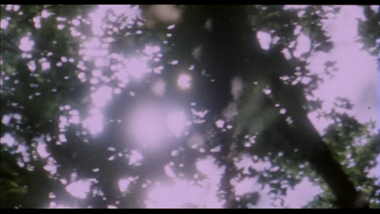 кадр из фильма Belle de Nature