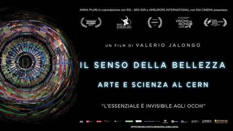 кадр из фильма Il senso della bellezza - Arte e scienza al CERN