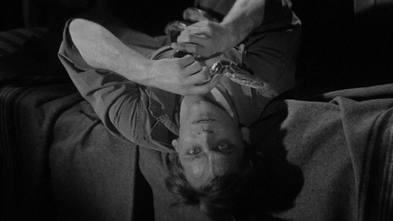 кадр из фильма Доносчик