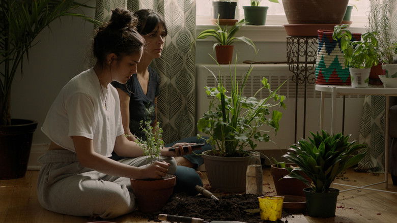 кадр из фильма So Much Tenderness