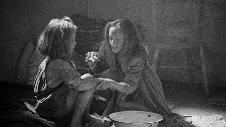 кадр из фильма Сестра моя сестра