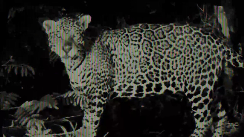 кадр из фильма Eterna