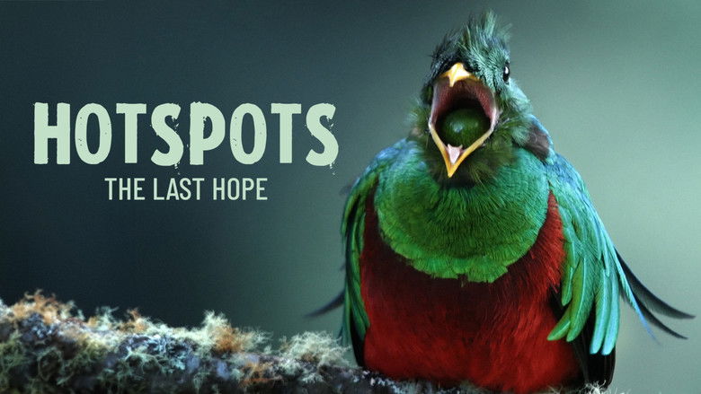 Hotspots: The Last Hope