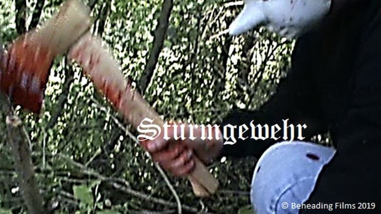 кадр из фильма Sturmgewehr