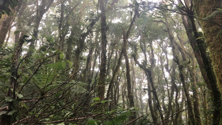 кадр из фильма Regreso