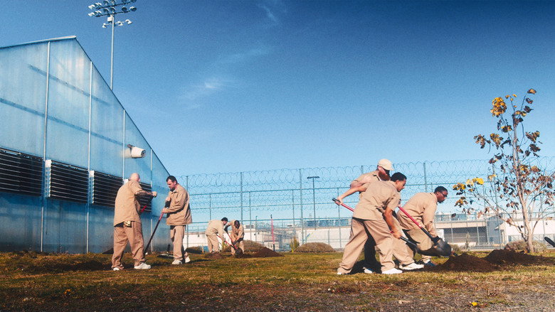 кадр из фильма Lockdown