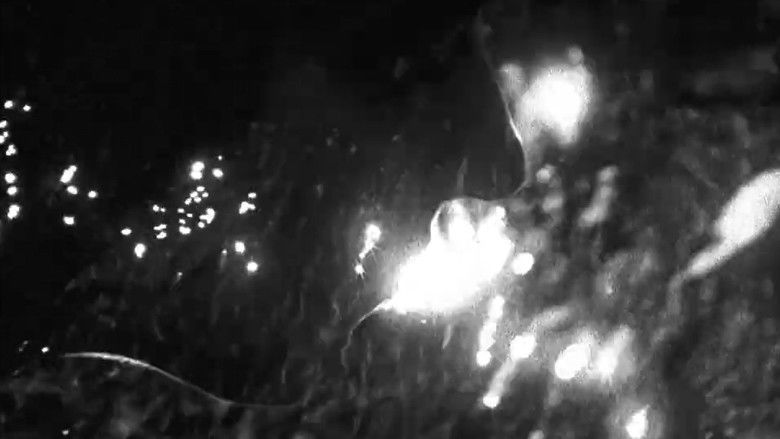 кадр из фильма Made of Air