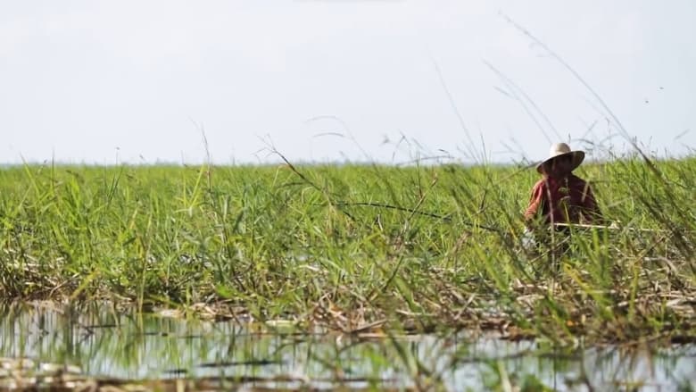 кадр из фильма Tapajós Ãgawaraitá
