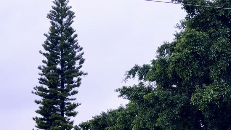 кадр из фильма Evangelio (Gospel)