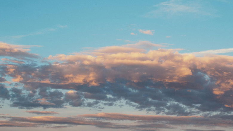 кадр из фильма Paesaggio Interno