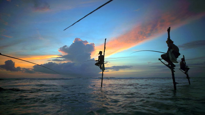 кадр из фильма Awaken