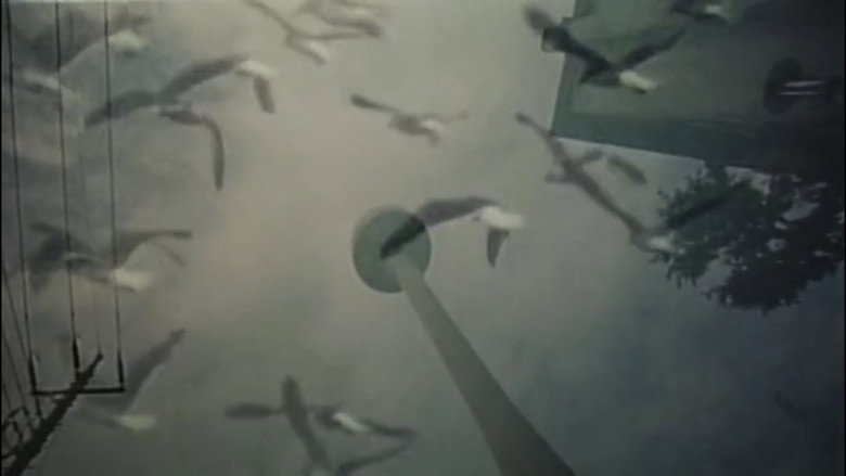 кадр из фильма 高級ソープテクニック４　悶絶秘戯