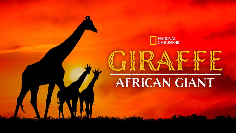 кадр из фильма Giraffe: African Giant