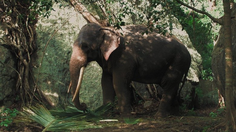 кадр из фильма Слоновье кладбище