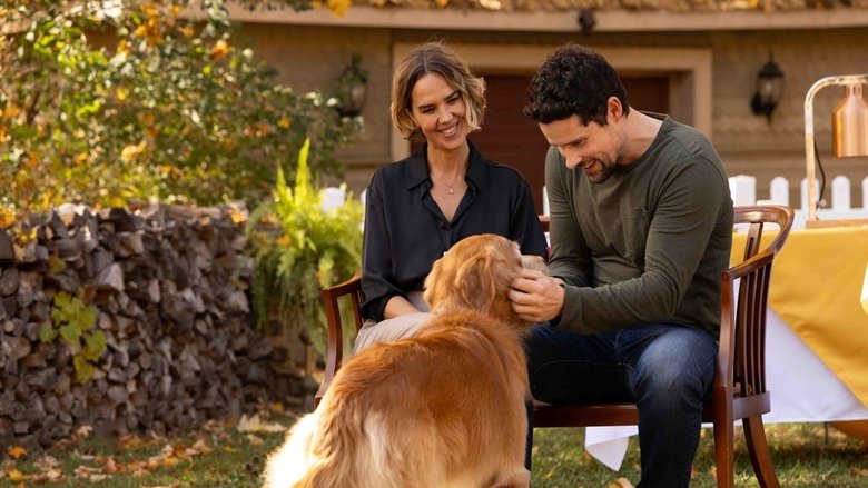 кадр из фильма Love Is a Dog's Best Friend