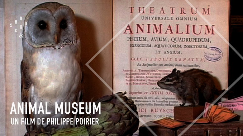 кадр из фильма Animal Museum