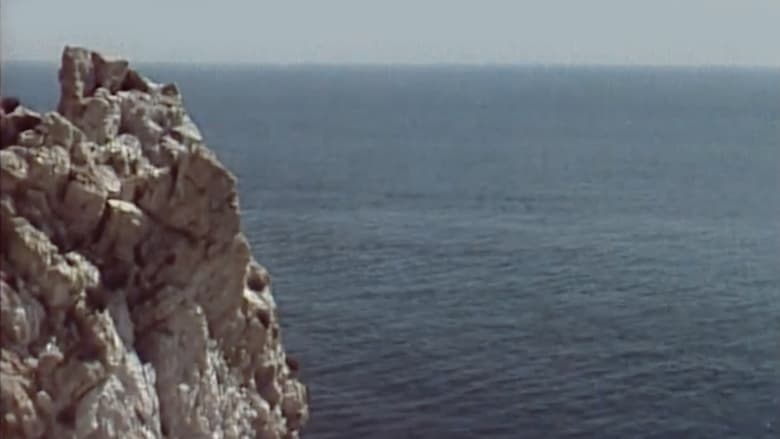 кадр из фильма Metamorfosi