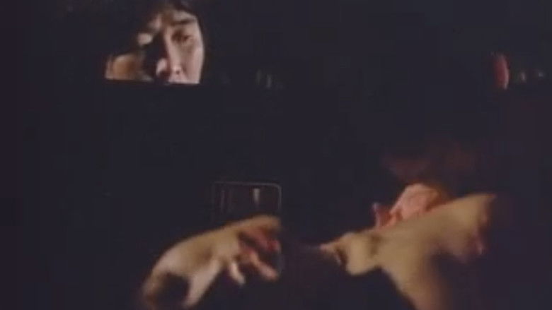 十三人連続暴行魔