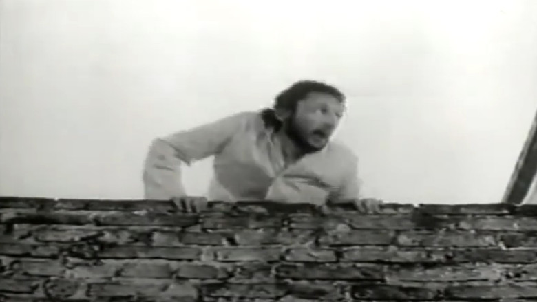 кадр из фильма Pericota