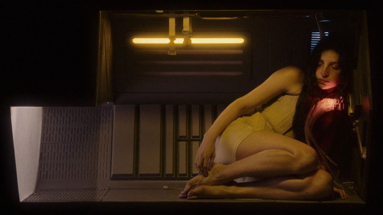 кадр из фильма Tin Can