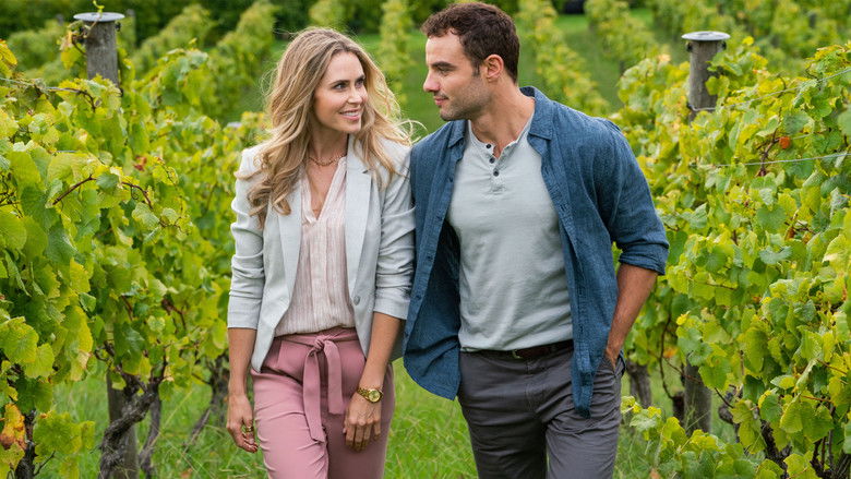 кадр из фильма Destination Love