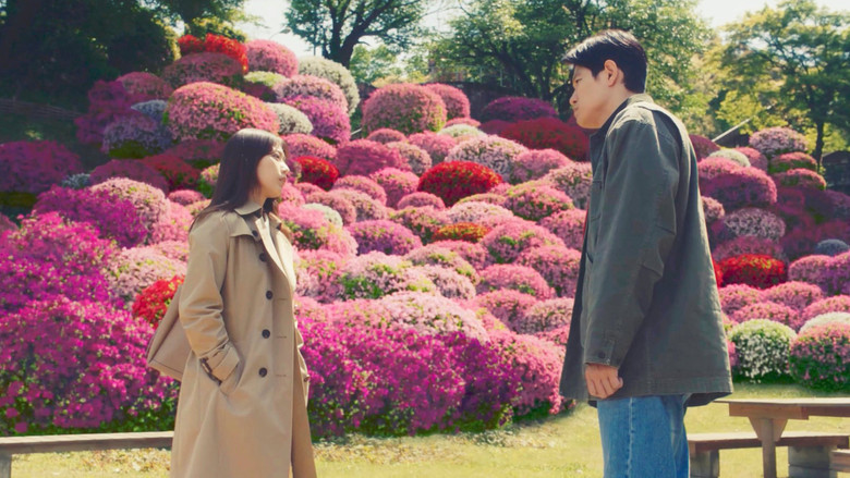 кадр из фильма 花まんま