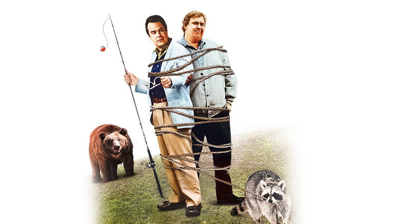 кадр из фильма На лоне природы