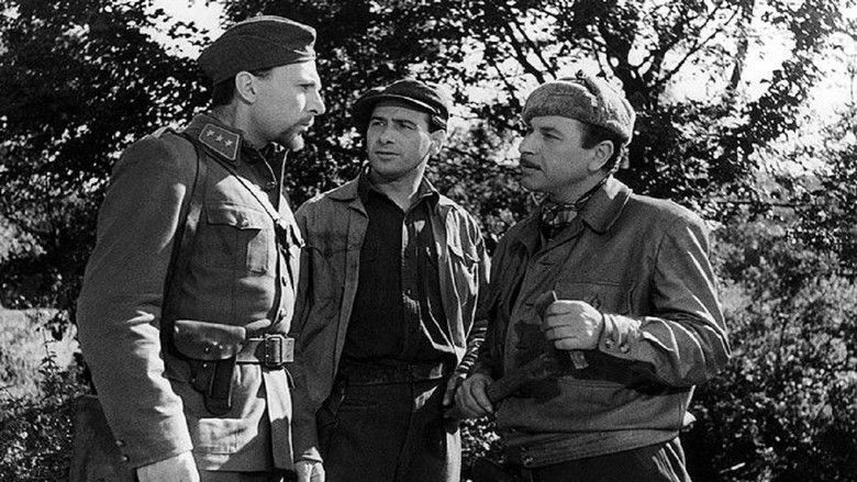 Капитан Дабач