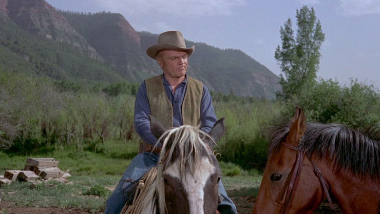 кадр из фильма В укрытии