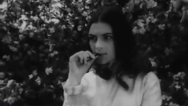 кадр из фильма Родной дом