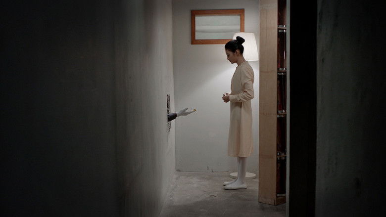 кадр из фильма 27 Steps of May