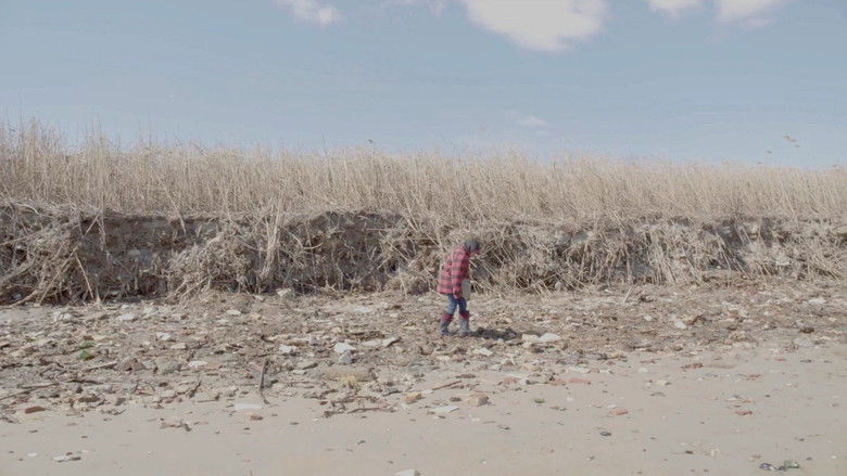 кадр из фильма Dead Horse Bay