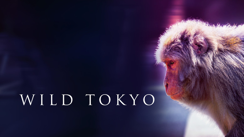 кадр из фильма Wild Tokyo