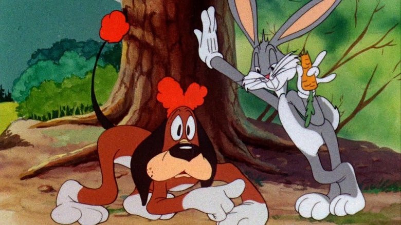 Шутки зайца