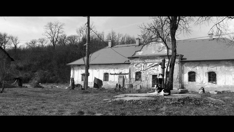 кадр из фильма 7829 km od Wu-chanu