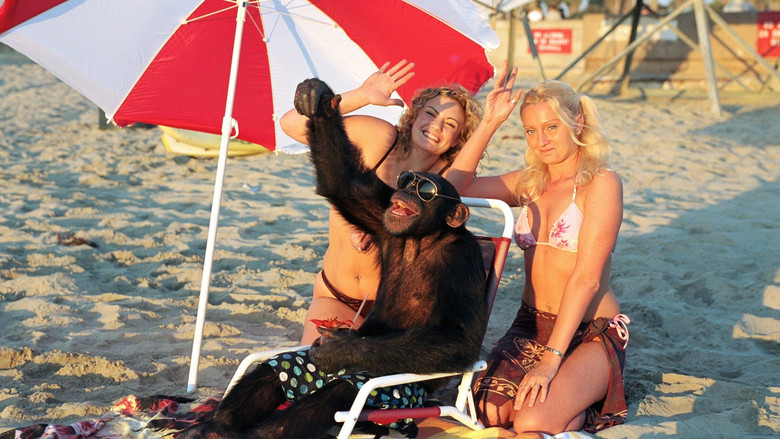 кадр из фильма Волосатая история