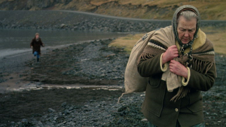 кадр из фильма Kaldaljós