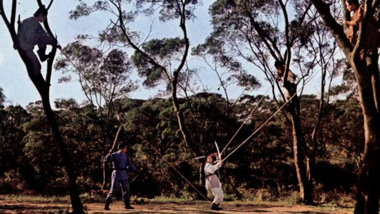 кадр из фильма 女獨臂刀