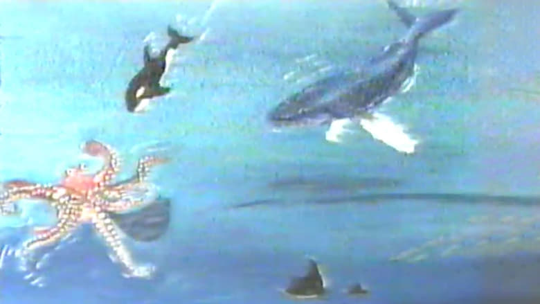 кадр из фильма Hampie - ein kleiner Wal entdeckt seine Welt