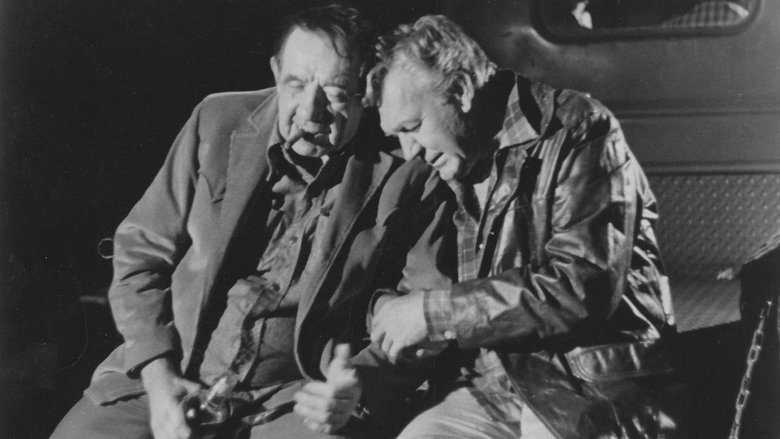 кадр из фильма The Wild McCullochs