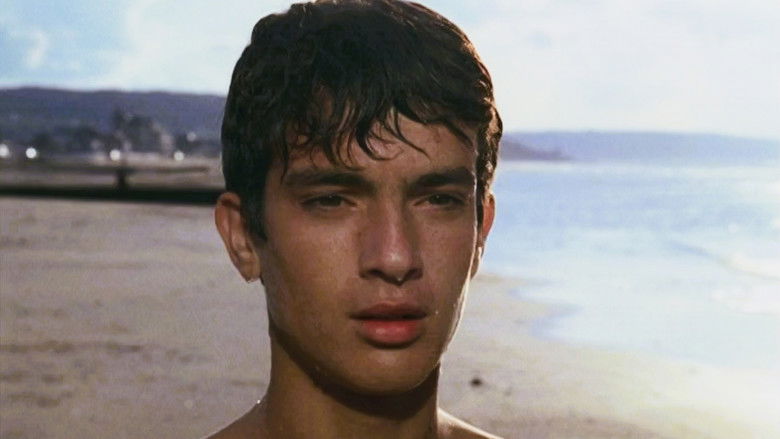 кадр из фильма Les Amis