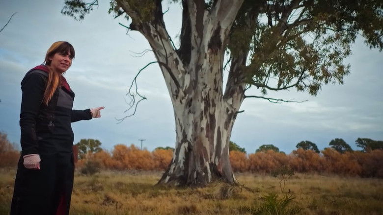 Bahía de la Memoria