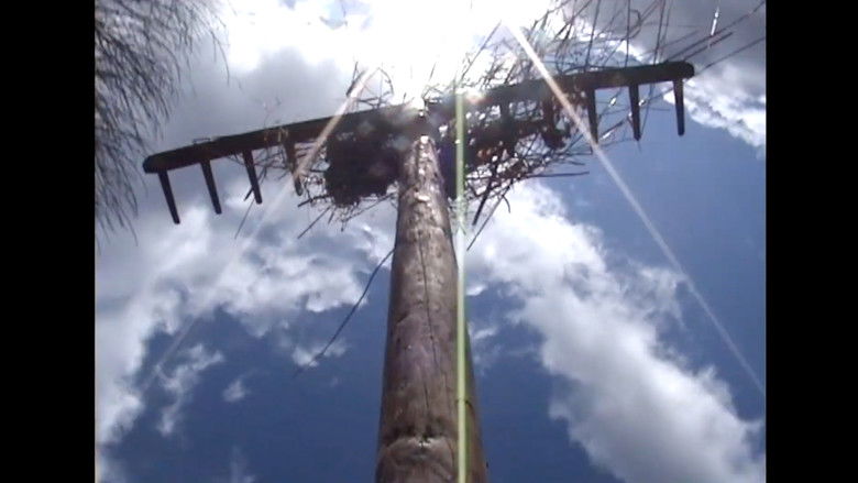 ElektroŠorks in the Garden