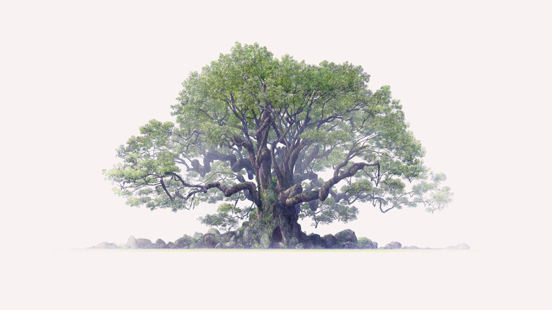 クスノキの番人