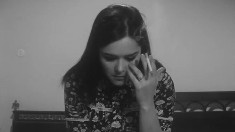 кадр из фильма Contactos