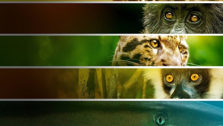 кадр из фильма Endangered